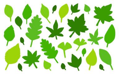 Beautiful Leaves Set - Summer Leaves collection, hand drawn.