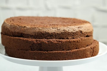 Cut chocolate sponge cake on stand against light background, closeup