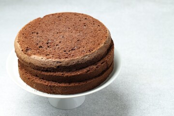 Cut chocolate sponge cake on light table, closeup