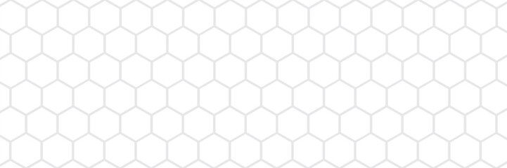 Abstract white background with hexagons. Abstract hexagon polygonal pattern background vector.