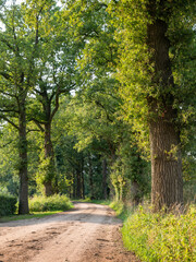 dirt road near doetinchem in dutch achterhoek near doetinchem