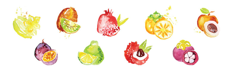Bright Watercolor Fruit and Juicy Food Vector Set