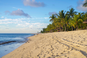 Strand mit Palmen 