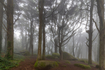 Obraz premium Serra de Sintra - Portugal 