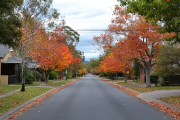 View of Honours Avenue at Mount Macedon, Victoria with autumn leaves.