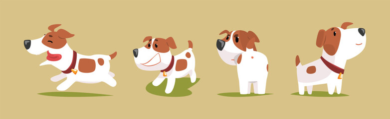 Funny Jack Russell Terrier Puppy with Cute Snout Vector Set