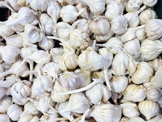 high-resolution close-up photo of fresh garlic bulbs, showcasing their natural texture and papery white skin. The garlic cloves are tightly packed, with subtle shadows and soft lighting.