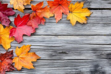 Obraz premium An autumnal background with sugar maple leaves framed by a rustic wood design