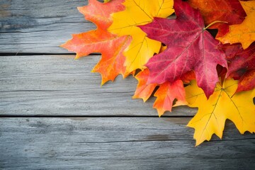 Obraz premium Rustic wood background with autumn sugar maple leaves