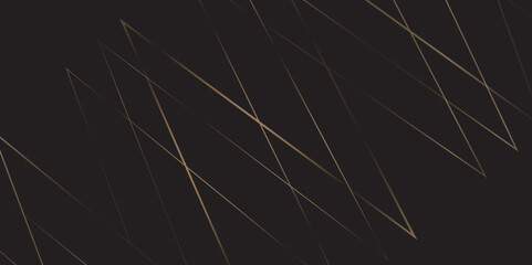 abstract Luxury banner presentation line background.background, pattern, abstract, business, texture, design, technology, banner, frame, vintage, art, illustration, party, light, concept.
