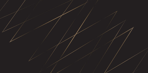 abstract Luxury banner presentation line background.background, pattern, abstract, business, texture, design, technology, banner, frame, vintage, art, illustration, party, light, concept.
