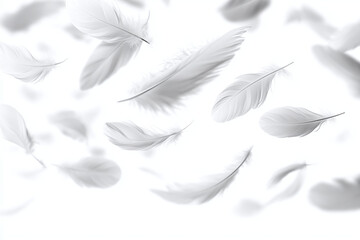 Fototapeta premium White Feathers Floating in The Air. Abstract Feathers on White Background. Soft White Feathers