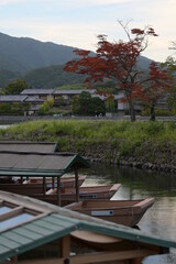 Naklejka premium ボートと紅葉