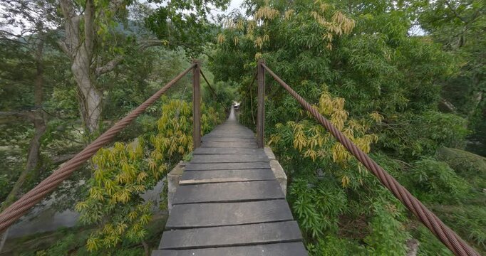 Wooden bridge pathway over wild river with vegetation thickets, summer travel exploration concept, Tayrona, Colombia wilderness landscape.