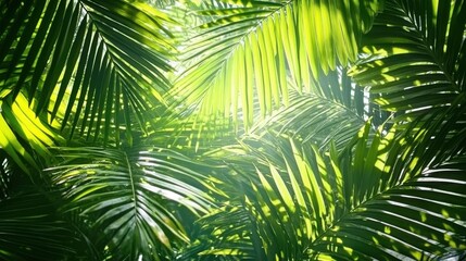 Obraz premium Overlapping palm tree fronds casting intricate shadows, with sunlight streaming through, creating a tranquil, tropical atmosphere