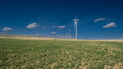 Wind turbines operated by Transalta Vision Quest crisscross the prairies near Pincher Creek,...