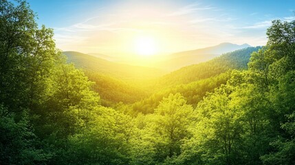 Fototapeta premium Sunlit Mountain Forest Landscape with Green Trees and Blue Sky