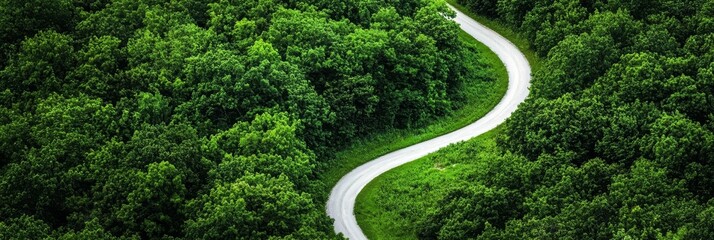  Abird's-eye perspective of a meandering forest path bordered by verdant trees