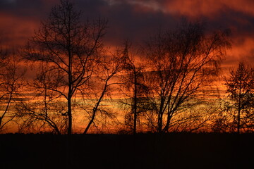 Fototapeta premium Sunset with the cloudy and colorful sky and trees in the park