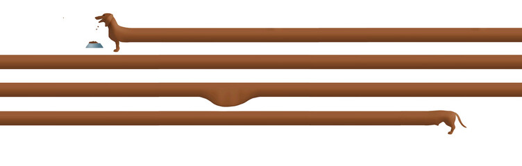 A dachshund dog is seen with a full stomach in this humorous 3-d illustration.