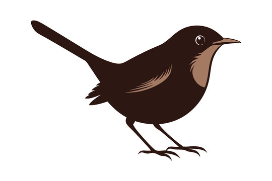 brown bird standing, side view clip art preview