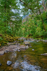 Tanner Creek at Wahclella Falls Trail in the Columbia River Gorge in Oregon.