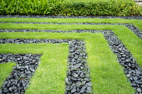 garden, Backyard green grass and vlack stone.close up summer pattern.