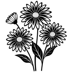 black and white flowers