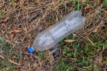 A carelessly discarded plastic water bottle. Plastic waste in nature. A global environmental...