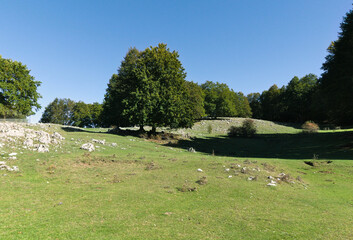 relaxing and bucolic landscape in the Simbruini mountains on a clear day