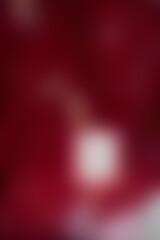 A photo of a red rose in a vase with a white background.