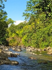 La rivière coule dans la forêt © Patrick