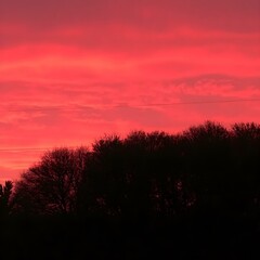 Fototapeta premium A bold, fiery sunset sky with deep crimson red hues dominating the horizon, with silhouetted trees and the last light of the day fading 