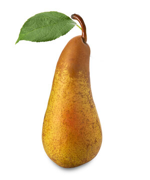 Abate fetel pear with leaf isolated