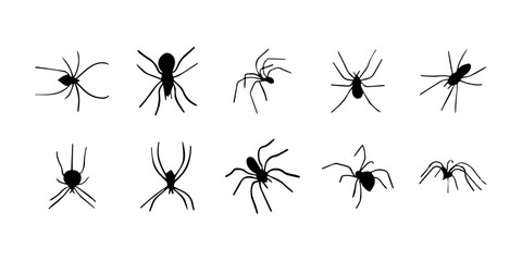 Spiders. Black bug spider silhouette. Scary Halloween animal arachnid, creepy dangerous insect, arachnophobia fear. Vector illustration