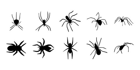 Spiders. Black bug spider silhouette. Scary Halloween animal arachnid, creepy dangerous insect, arachnophobia fear. Vector illustration