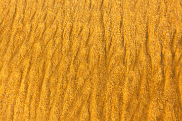 texture of a sand 