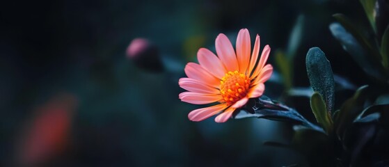  A tight shot of a pink bloom against a backdrop of green foliage, with a softly focused plant in front