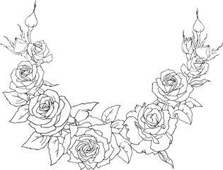 Frame of roses. Graphic image of a semicircle of roses for the design and printing of postcards, invitations to weddings, anniversaries. For packaging and labels of perfumes and other women's products