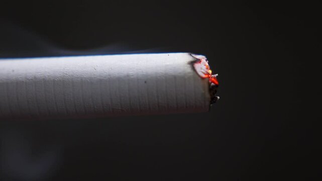 Burning cigarette and emits smoke from a lit cigarette. Macro video of a burning cigarette and smoldering close-up on a black background