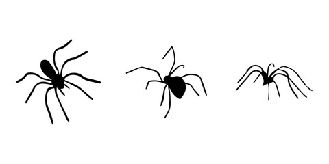 Spiders. Black bug spider silhouette. Scary Halloween animal arachnid, creepy dangerous insect, arachnophobia fear. Vector illustration