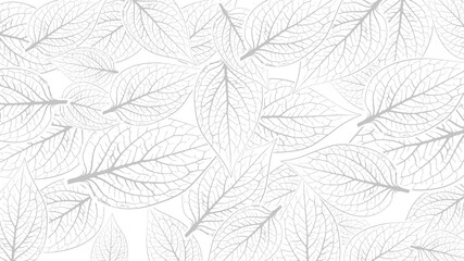 White leaves background. Skeleton leaf pattern. Floral outline design.