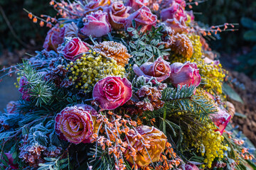 1 November All Saints' Day. White frost on red frozen roses in a wreath. Red roses covered with white frost. 