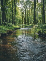 Fototapeta premium Tranquil Creek Flowing Through Lush Green Forest