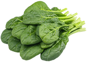 Obraz premium Fresh green spinach leaves, transparent background