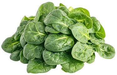 Obraz premium Pile of spinach leaves on a transparent background.