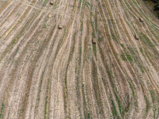 field of newly arrived straw, Artajona, Foral Community of Navarre, Spain