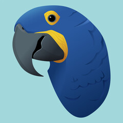 Realistic blue macaw parrot face design