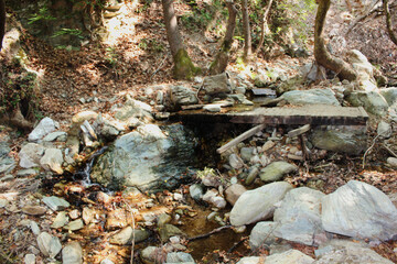 The path of the centaurs (after Cyclone Daniel) Portaria Pelion Greece