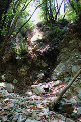 The path of the centaurs (after Cyclone Daniel) Portaria Pelion Greece